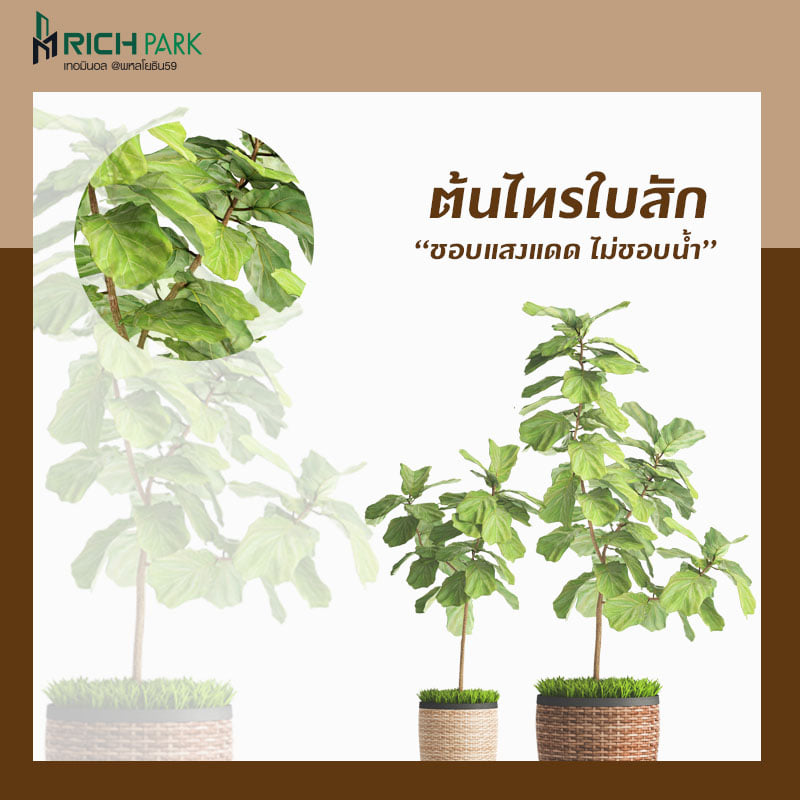 เพิ่มพื้นที่สีเขียวด้วย เพิ่มพื้นที่สีเขียวด้วย